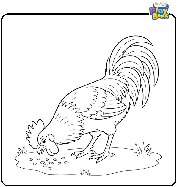 Rooster Eating Seeds Coloring Page Rooster Eating Seeds Coloring Page