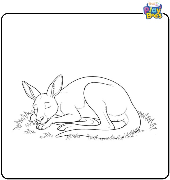 Sleeping Kangaroo Coloring Page Sleeping Kangaroo Coloring Page