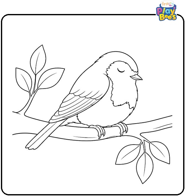 Sleepy Robin on Tree Branch Coloring Page
