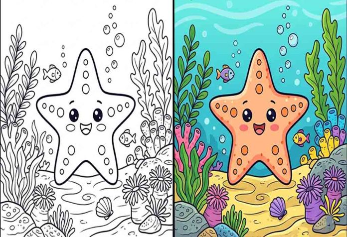 Starfish Coloring Pages – Free Printable Worksheets & Pictures