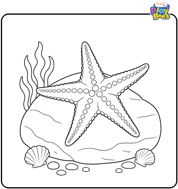 Starfish on a Rock Coloring Page Starfish on a Rock Coloring Page