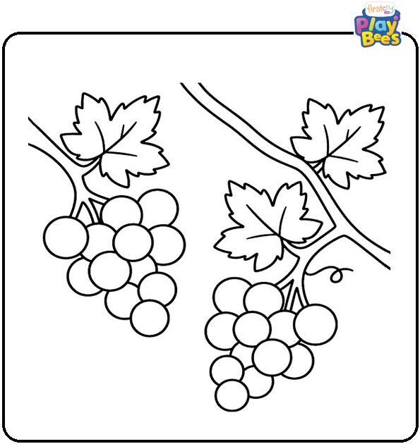Two Grape Bunches on Vine Coloring Page Two Grape Bunches on Vine Coloring Page