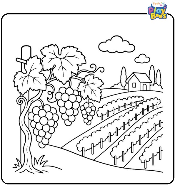 Vineyard Landscape Grapes Coloring Page Vineyard Landscape Grapes Coloring Page