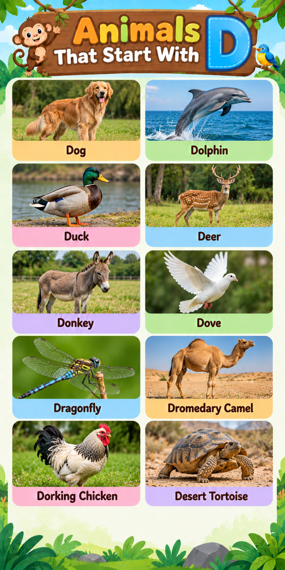 Animals That Start With D