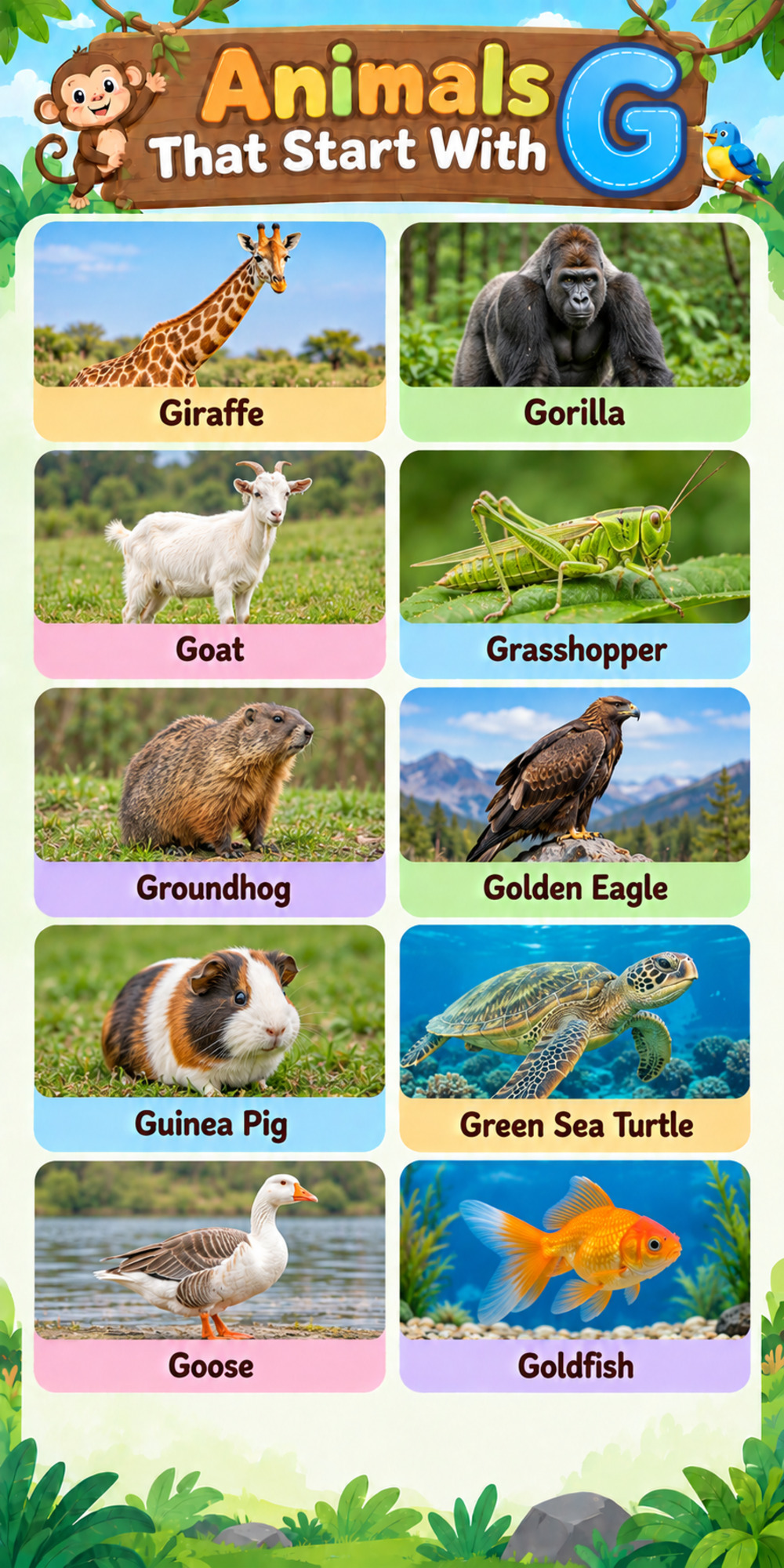Animals That Start With G Animals That Start With G