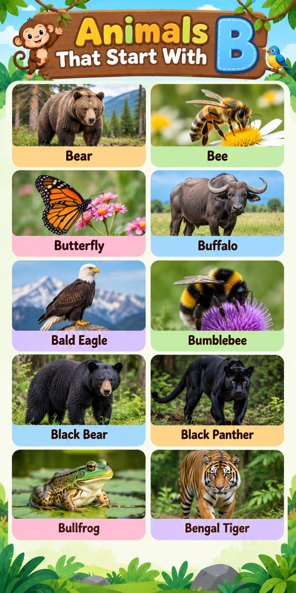 Infographic - Animals Starting With Letter B