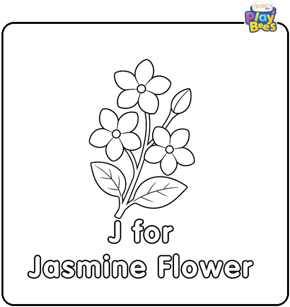 . J for Jasmine Flower Coloring Page . J for Jasmine Flower Coloring Page