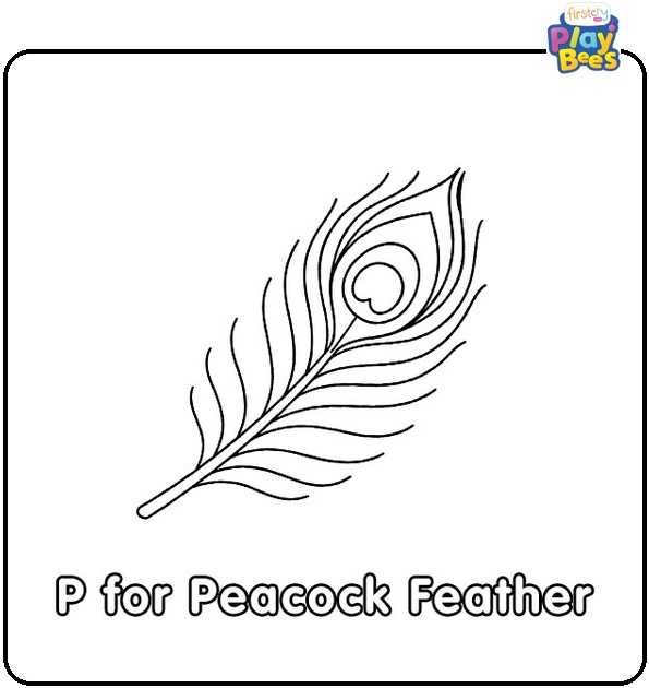 P for Peacock Feather Coloring Page P for Peacock Feather Coloring Page