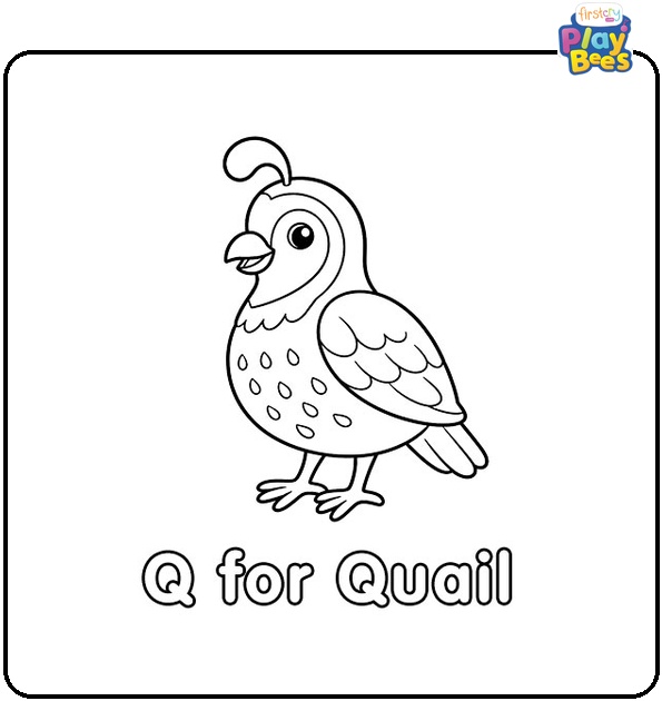 Q for Quail Coloring Page