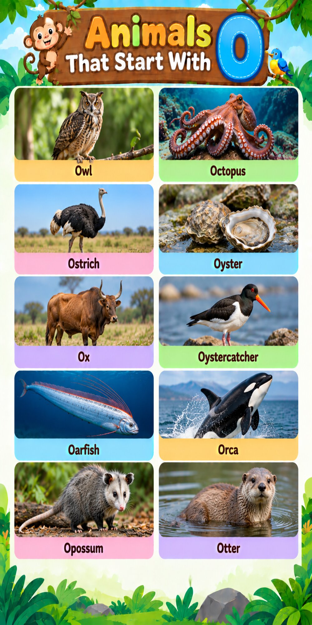 Animals That Start With O
