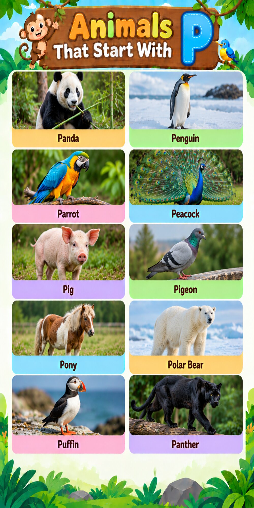 Animals That Start With P Animals That Start With P
