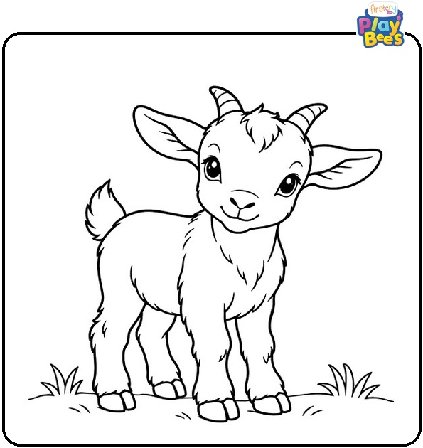 Baby Goat Coloring Page