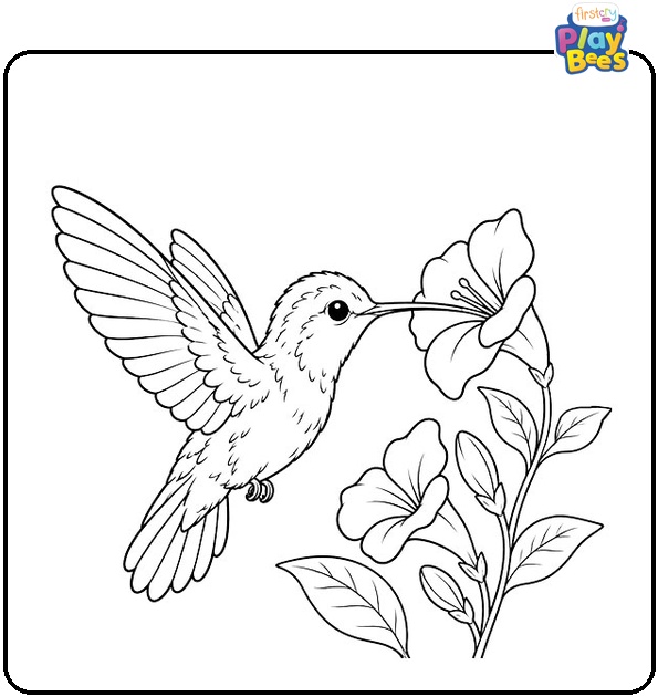 Baby Hummingbird Coloring Page