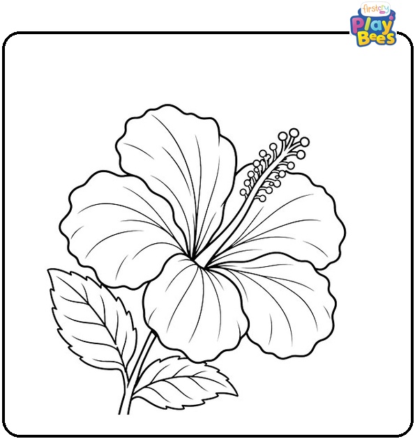 Detailed Hibiscus Flower Coloring Page Detailed Hibiscus Flower Coloring Page