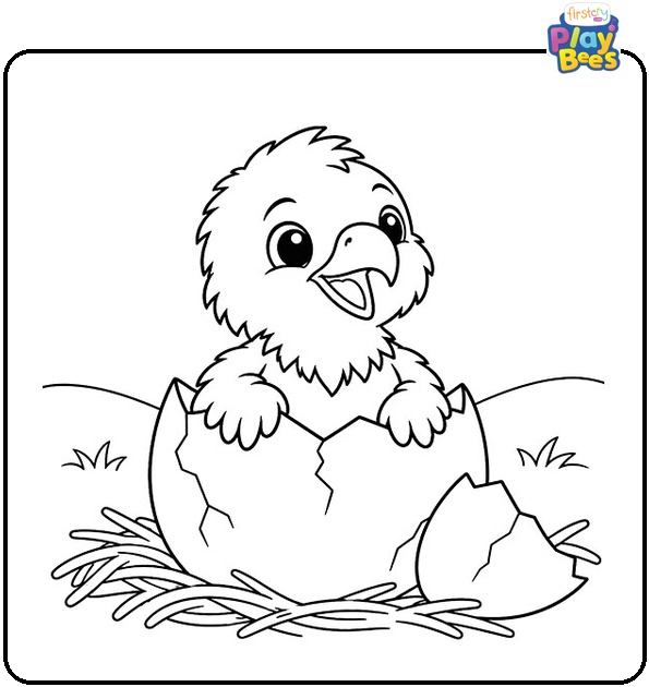 Eagle Chick Hatching from an Egg Coloring Page