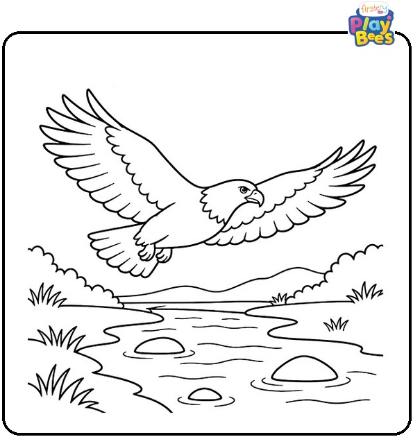Eagle Over Stream Coloring Page