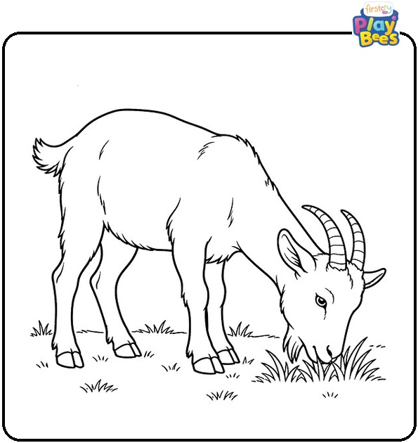Goat Eating Grass Coloring Page