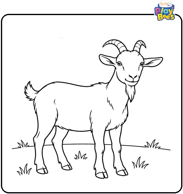 Goat Standing in a Field Coloring Page