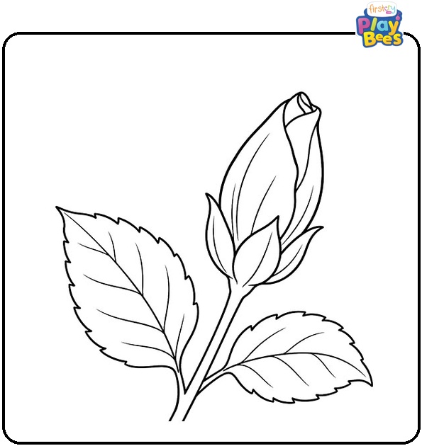 Hibiscus Bud Coloring Page Hibiscus Bud Coloring Page