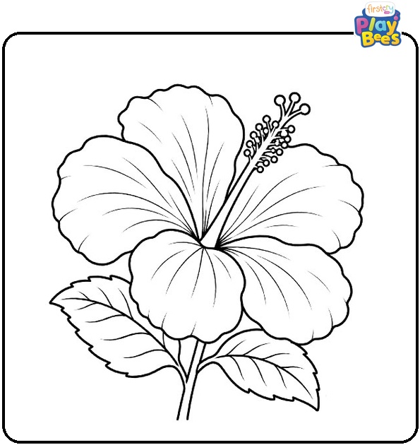 Hibiscus Flower Coloring Page Hibiscus Flower Coloring Page