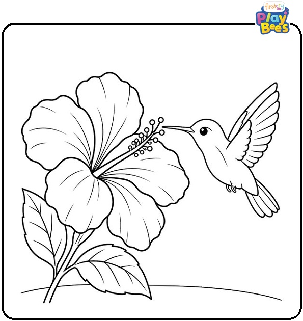 Hibiscus Flower with Hummingbird Coloring Page Hibiscus Flower with Hummingbird Coloring Page