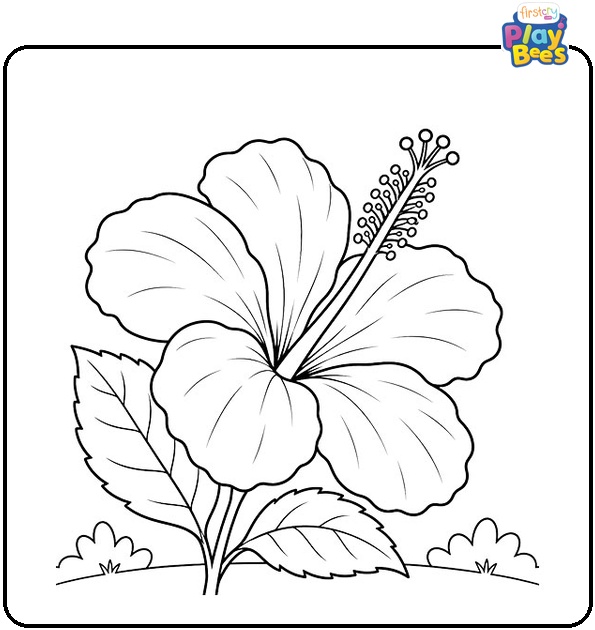 Hibiscus Flower with Prominent Stamen Coloring Page Hibiscus Flower with Prominent Stamen Coloring Page
