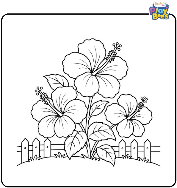 Hibiscus Garden Coloring Page Hibiscus Garden Coloring Page