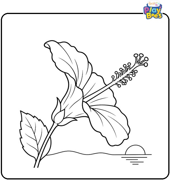 Hibiscus Side View Coloring Page Hibiscus Side View Coloring Page