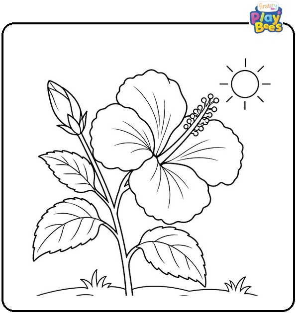 Hibiscus Stem Coloring Page Hibiscus Stem Coloring Page