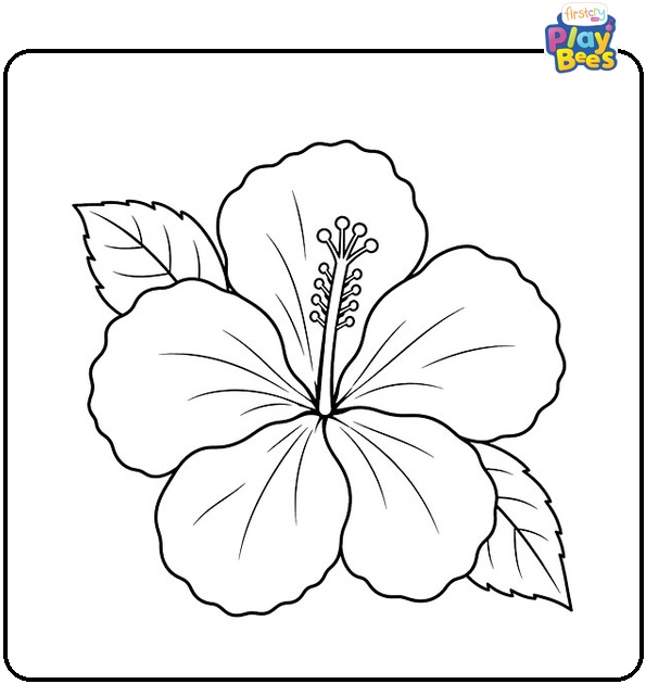 Hibiscus Top View Coloring Page Hibiscus Top View Coloring Page
