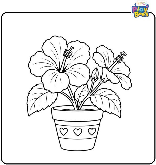 Hibiscus in a Pot Coloring Page Hibiscus in a Pot Coloring Page