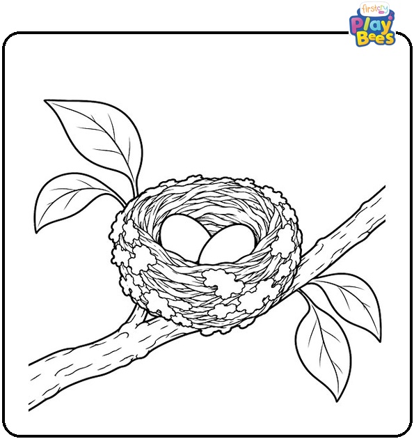 Hummingbird Nest with Eggs Coloring Page
