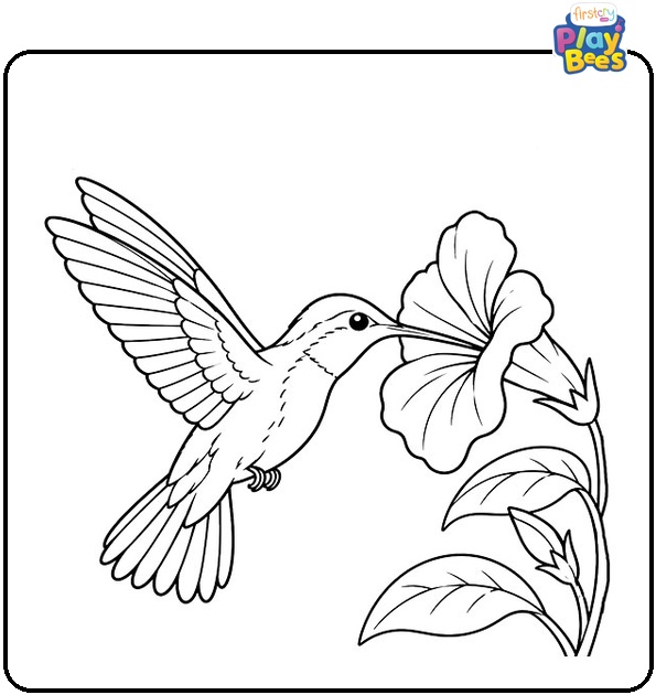 Hummingbird Drinking Nectar from a Flower Coloring Page