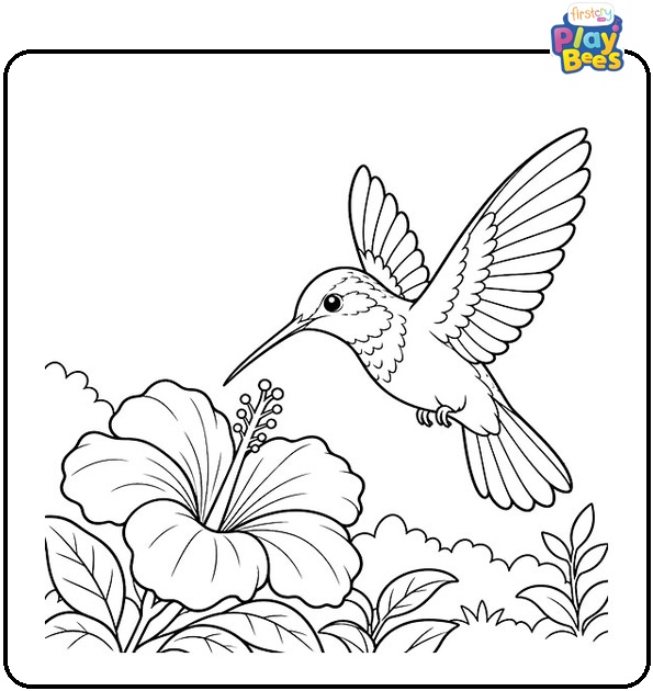 Hummingbird Hovering Over a Flower Coloring Page