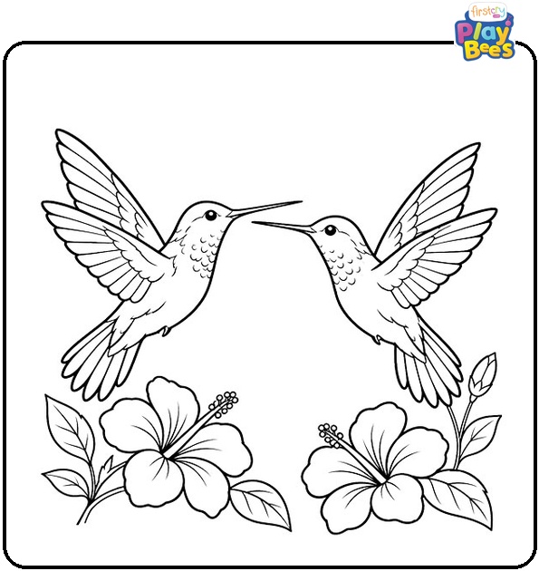 Hummingbird Pair Facing Each Other Coloring Page