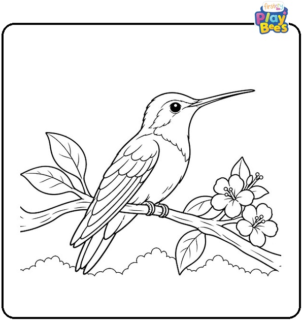 Hummingbird Perched on a Branch Coloring Page
