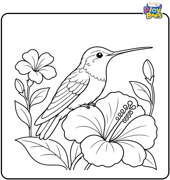 Hummingbird Sitting on a Flower Coloring Page
