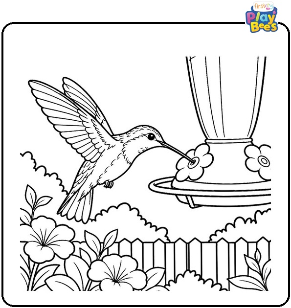 Hummingbird at a Garden Feeder Coloring Page