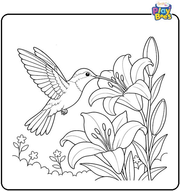 Hummingbird with Lily Flowers Coloring Page