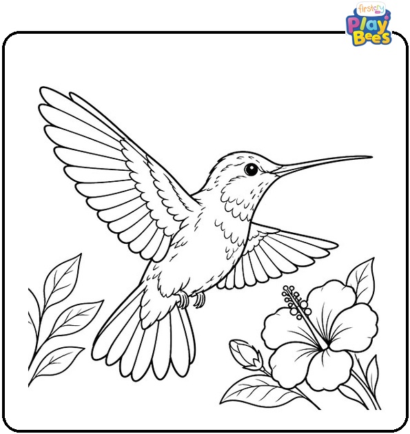 Hummingbird with Spread Wings Coloring Page