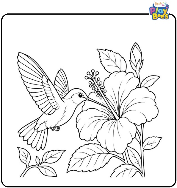 Hummingbird with a Hibiscus Flower Coloring Page