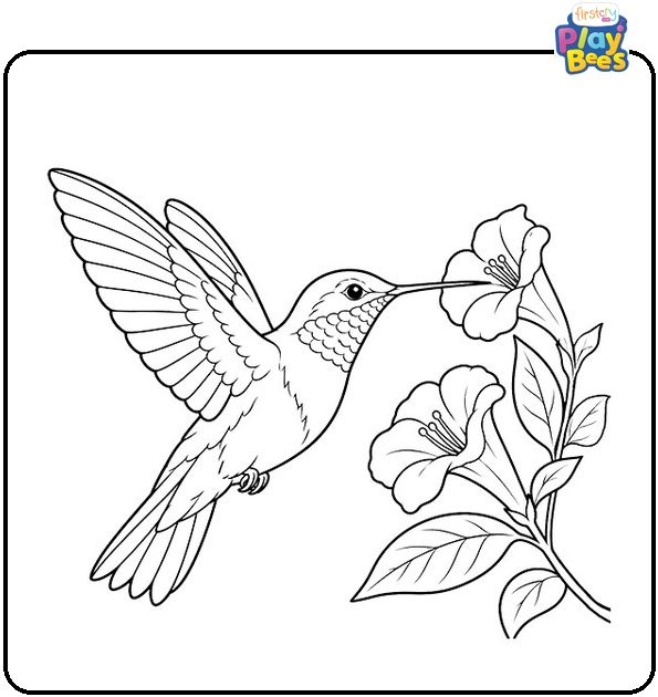 Ruby-Throated Hummingbird Coloring Page