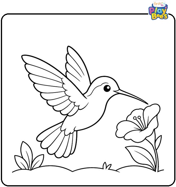 Simple Hummingbird Coloring Page