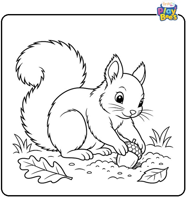 Squirrel Holding an Acorn Coloring Page