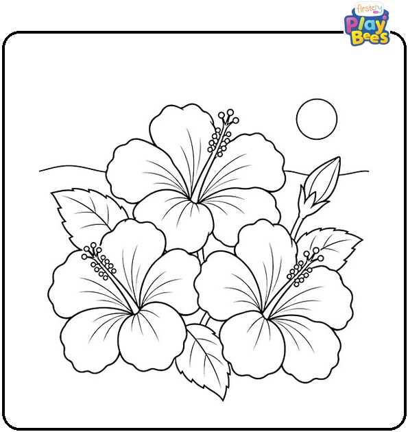 Three Hibiscus Flowers Coloring Page Three Hibiscus Flowers Coloring Page