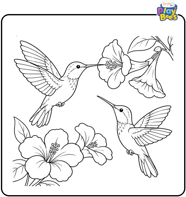Two Hummingbirds in a Garden Coloring Page