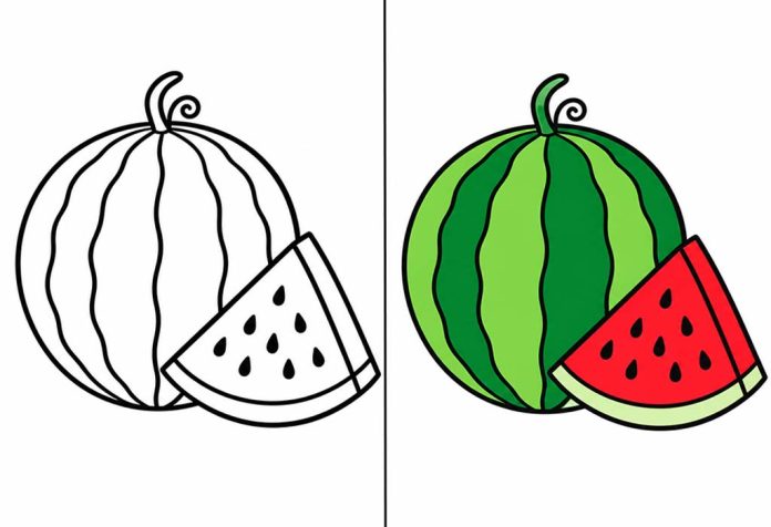 Watermelon Coloring Pages – Free Printable Worksheets & Pictures