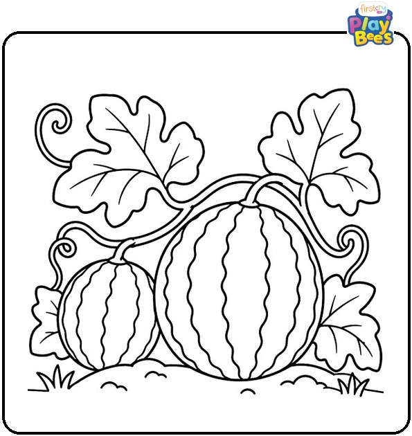 Watermelon Growing on a Vine Coloring Page