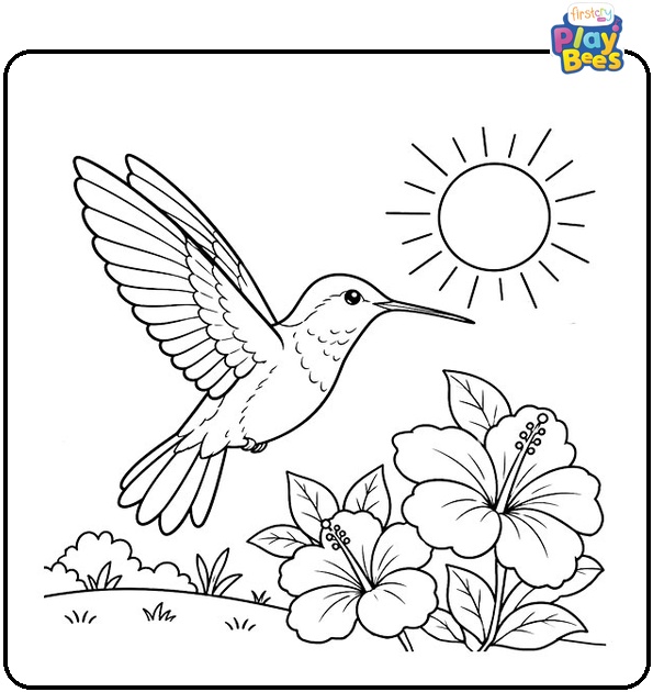 Hummingbird and Sun Coloring Page