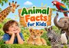 50+ Animal Facts for Kids to Spark Curiosity Animal Facts for Kids